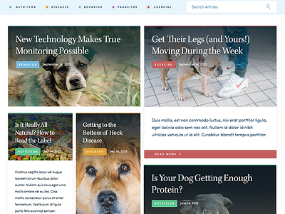 Veterinarian Website