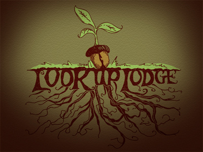 Look Up Lodge acorn big branches camp fish grass grow lodge roots spring