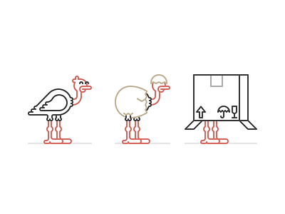 Ostrich in a box bird box character design egg icon illustration line ostrich tolokonnikov