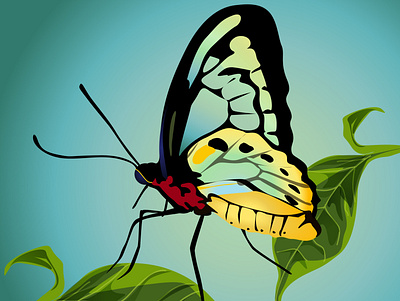 Butterfly Illustration art butterfly design illustration invitation vector