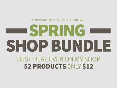 Spring SHOP BUNDLE addons big brushes bundle development mock ups overlays textures web kit