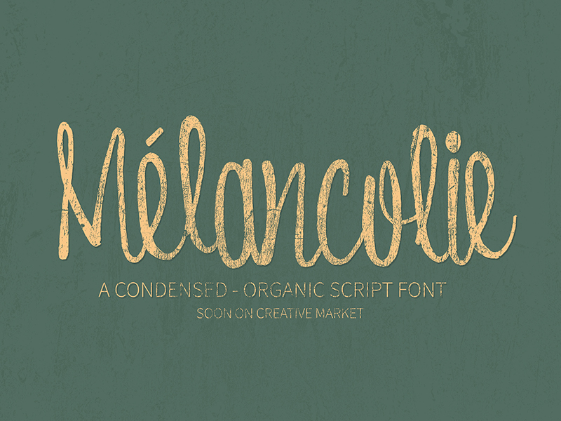 Friday Script  Script Fonts ~ Creative Market