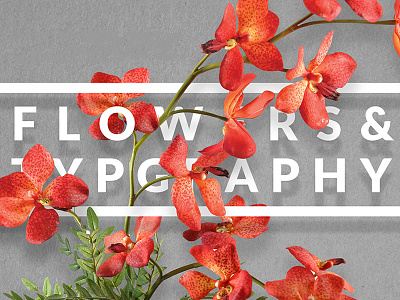 Flowers & Typography card design elegant flower illustration mock up poster spring template trend typography wedding