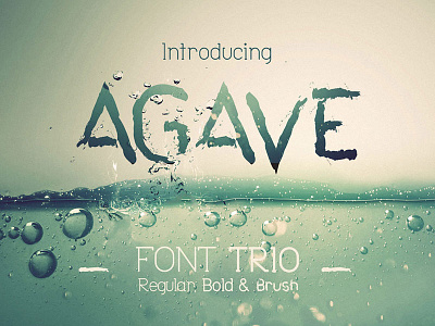 Agave Font Trio agave bold branding brush bundle font greeting logo pair regular trio wedding