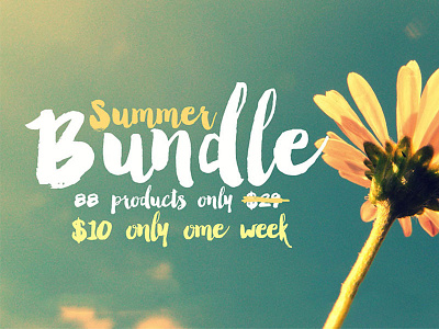 Summer Bundle 88 Products only $10 badges brushes bundle font fonts graphics insignia logos retro subtle vintage web kit