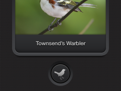 Put a Bird On It bird button interface ios iphone mobile ue ui