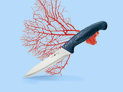 Coral~ kitchen knifes