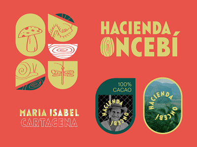 Hacienda Oncebí | branding animals branding design flora graphic design graphicdesign illustration logo logodesign nature nature logo