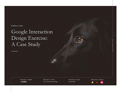 Google Interaction Design Exercise: A Case Study adoption case study cats dogs google interaction design pets ui user experience user interface ux
