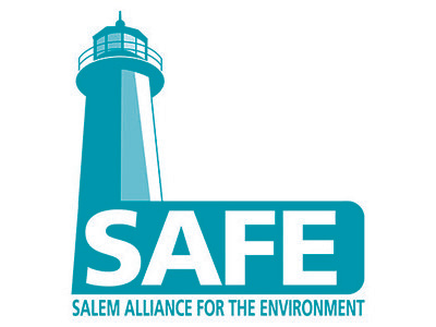 Safe Logo Blue logo