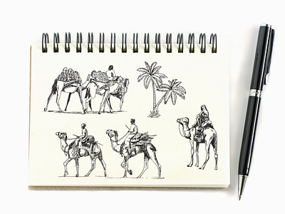 Camel Tour Sketch doodles drawings illustration sketching