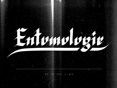 Entomologie blackletter caligraphy dust grain grunge ink medieval paper texture typography