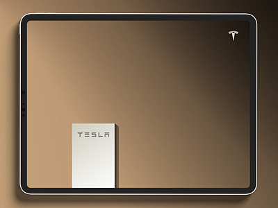 #tesla graphicdesign ipadpro logo tesla web design