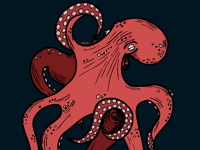 Octopus illustration artist creative illustration illustrator octopus wacom