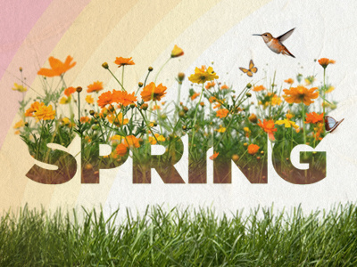 Spring Banner Graphic