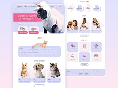 Website for pet adoption adopt cat design dog pet ui ux web