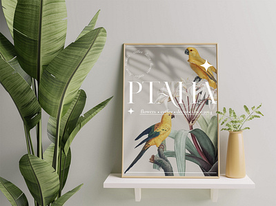 Ptaha flowers branding. advertising banner branding corporate identity design flower shop graphic design illustration parrot poster tropical