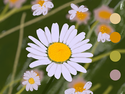 Daisy branding design illustration illustrator ui ux web website