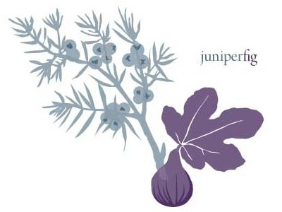 Juniper Fig Illustration & Logotype blue fig juniper purple