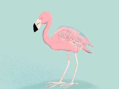 Delicate art bird digitalart drawing exotic flamingo illustration ipadart pink procreate procreateapp teal