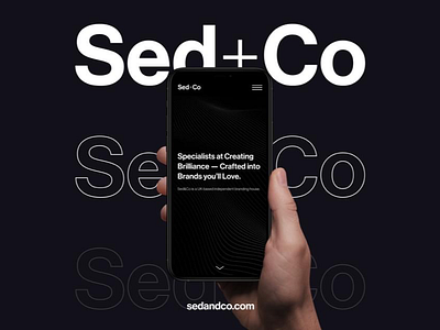 Sed+Co logo designer