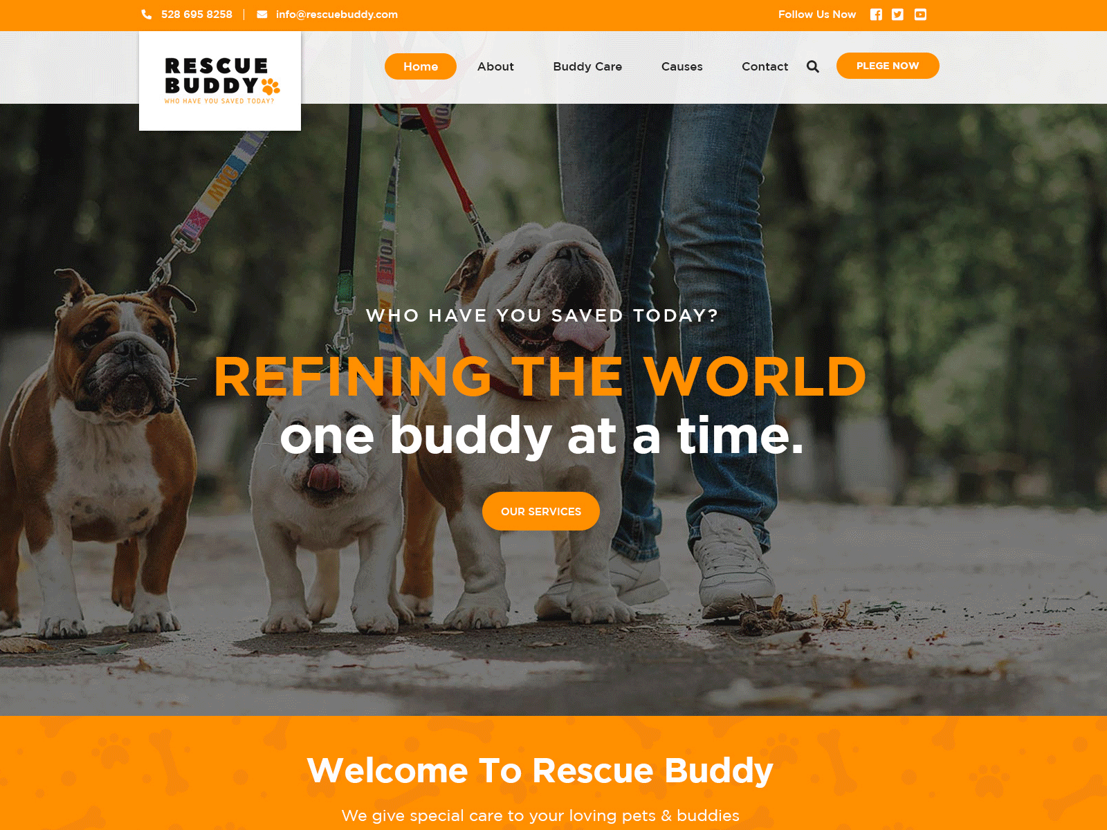 Rescue Buddy creative design homepage ui web landing