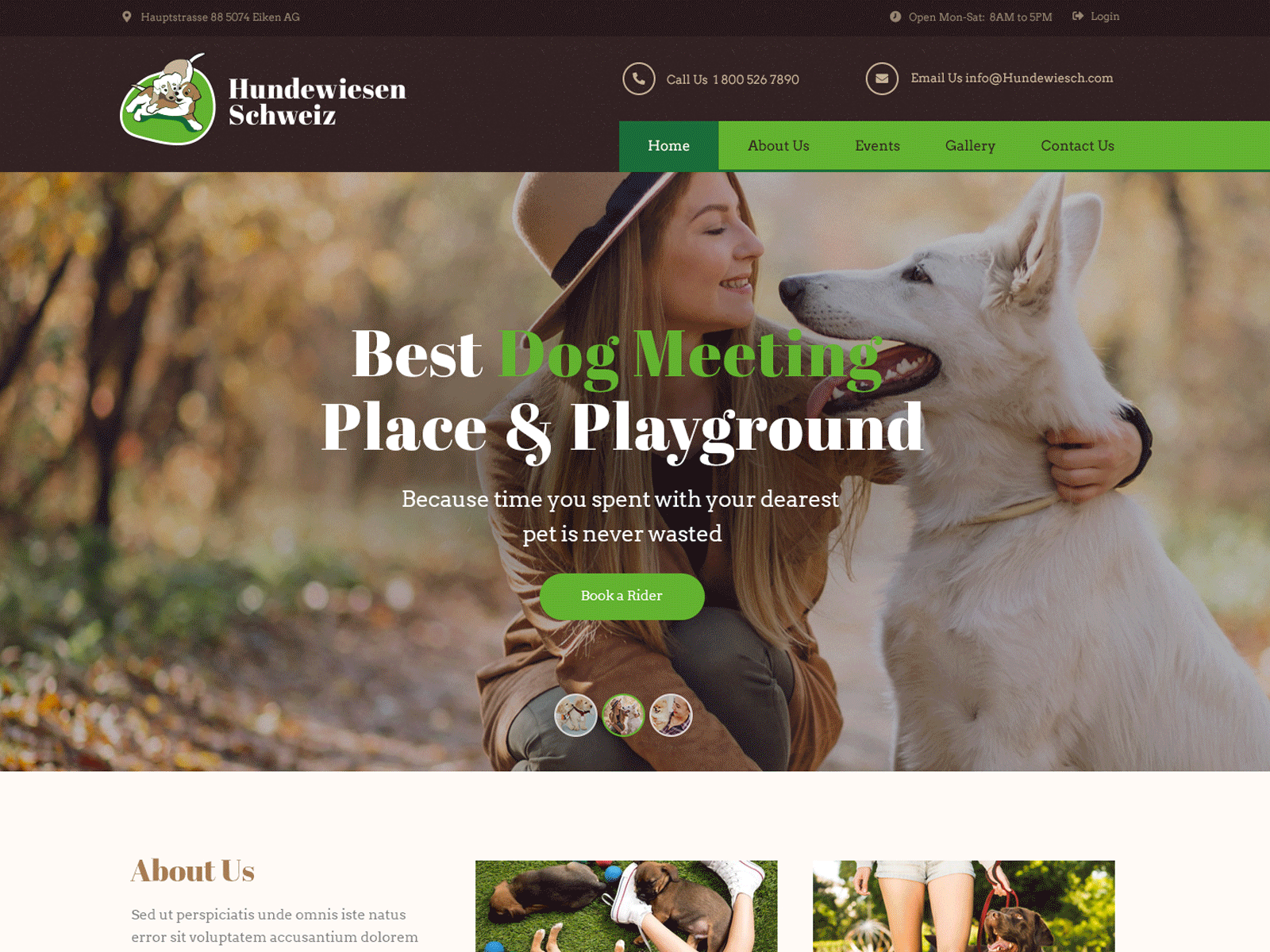 Hundewisen Schweiz Landing animated gif animation creative icon pets typography ui ux