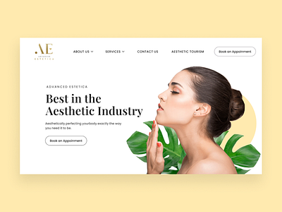 Landing Page - Aesthetics