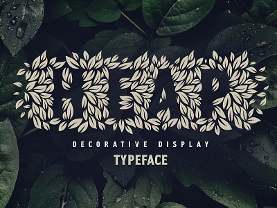Heap — eco friendly organic font alphabet decorative design eco font label leaves lettering logo natural organic typeface typography