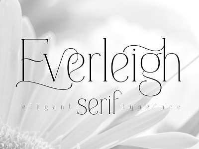 Everleigh serif font alphabet design font lettering style text type typeface typography vintage