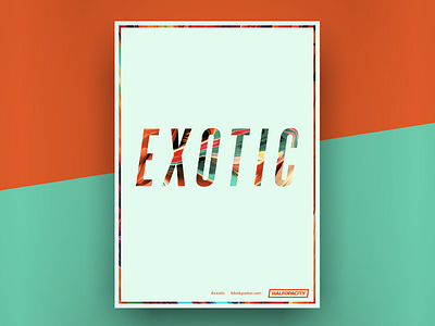 Poster - Exotic blankposter.com exotic paint poster warm
