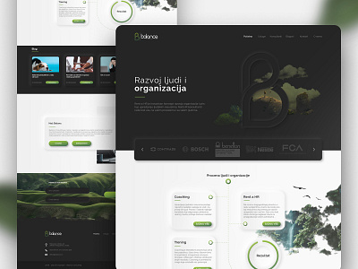 Website Design - Balance consulting mobile website nature soft ui ux ui ux web web website website design