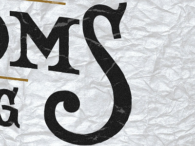 mS handlettering lettering s