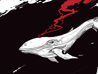 WHALE illustration tradicional