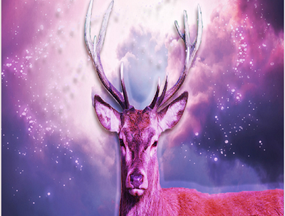 Deer And Midnight Sparkles design graphic design photoshop photoshop art