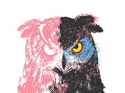 Owl colorfull digitalart illustration owl sketch