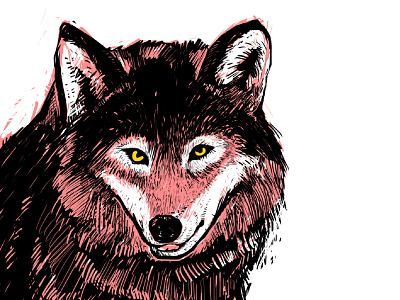 WOLF design illustration photoshop sketch wolf