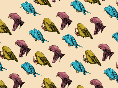 Pattern illustration bird design graphic design illustration pattern