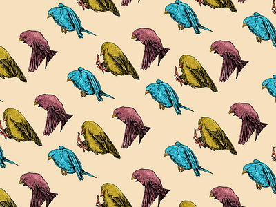 Pattern illustration bird