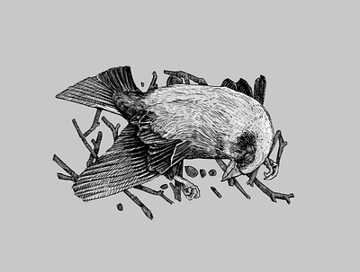 Dead bird design graphic design illustration
