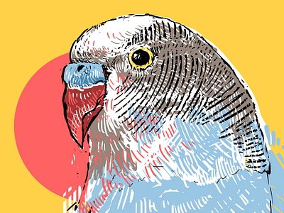 Wave bird design graphic design illustration