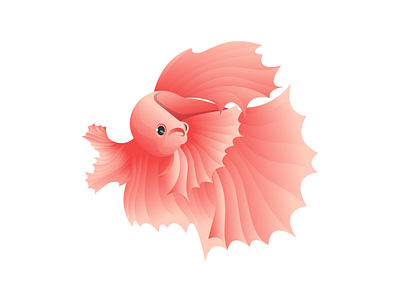 BETTA FISH branding design icon illustration illustrator logo logo design logotype minimal vector