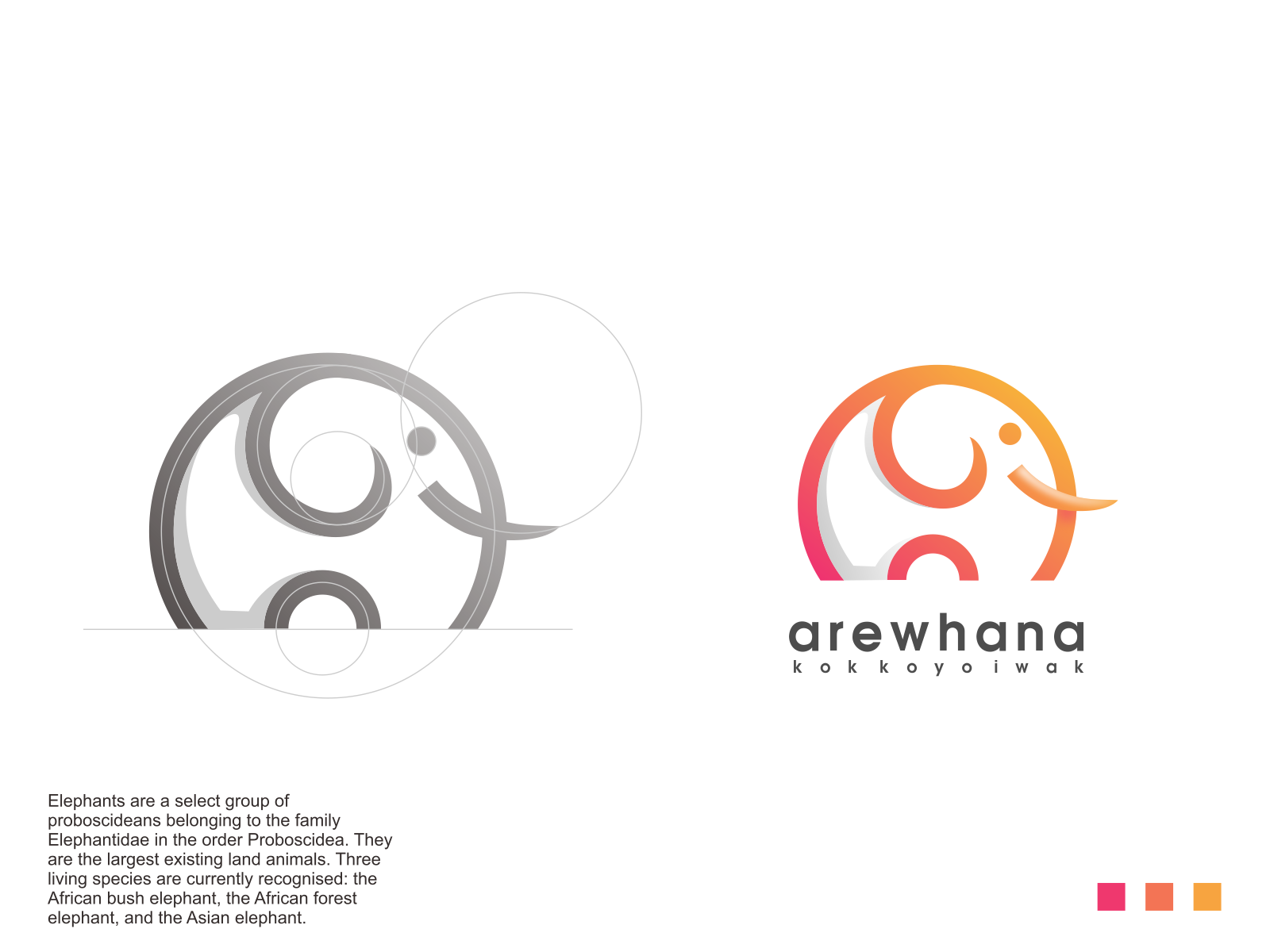 arewhana logo by MAXSTRIM_GRAPICH on Dribbble