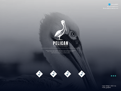 Pelican Logo branding design icon illustration logo logo design logotype vector