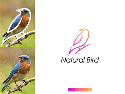 Natural Bird Logo app bird brand branding colorful design grid identity illustration lettering logo minimal modern simple vector