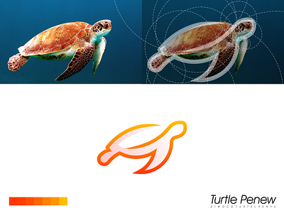 Turtle Logo animal app brand branding design identity illustration lettering logo minimal minimalist modern sea simple turtle vector
