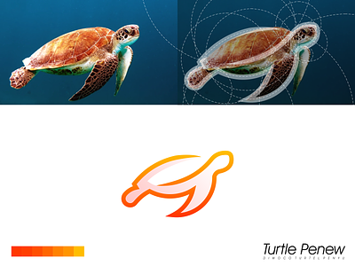 Turtle Logo