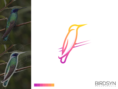 Birdsyn Logo app bird brand branding clean design identity illustration lettering logo minimal minimalist simple vector