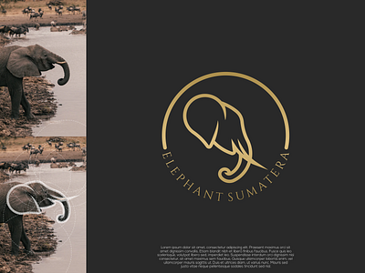 Elephant logo app brand branding clean design elegant graphic design grid identity illustration lettering logo minimal minimalist simple vector