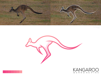 Kangaroo Logo animals app brand branding clean color design grid identity illustration lettering logo minimal minimalist modern simple vector